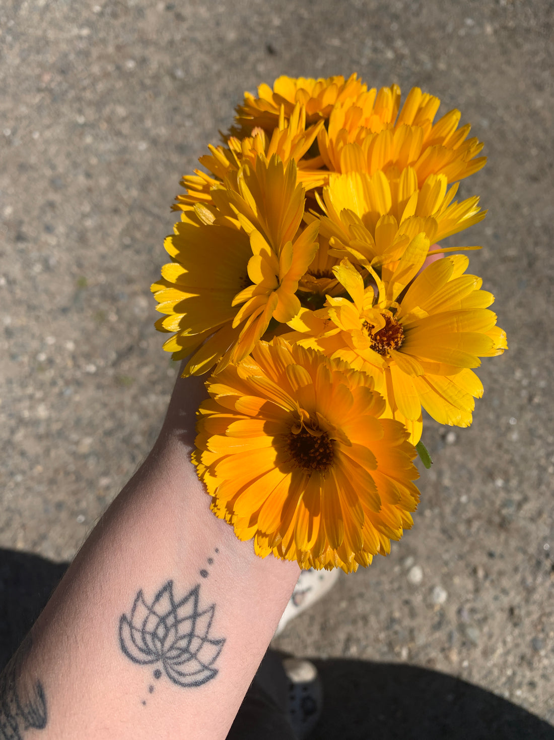 Hoarding to Homeless: The Abundance In Between