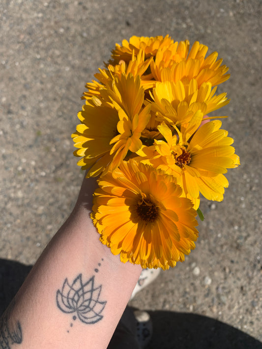 Hoarding to Homeless: The Abundance In Between