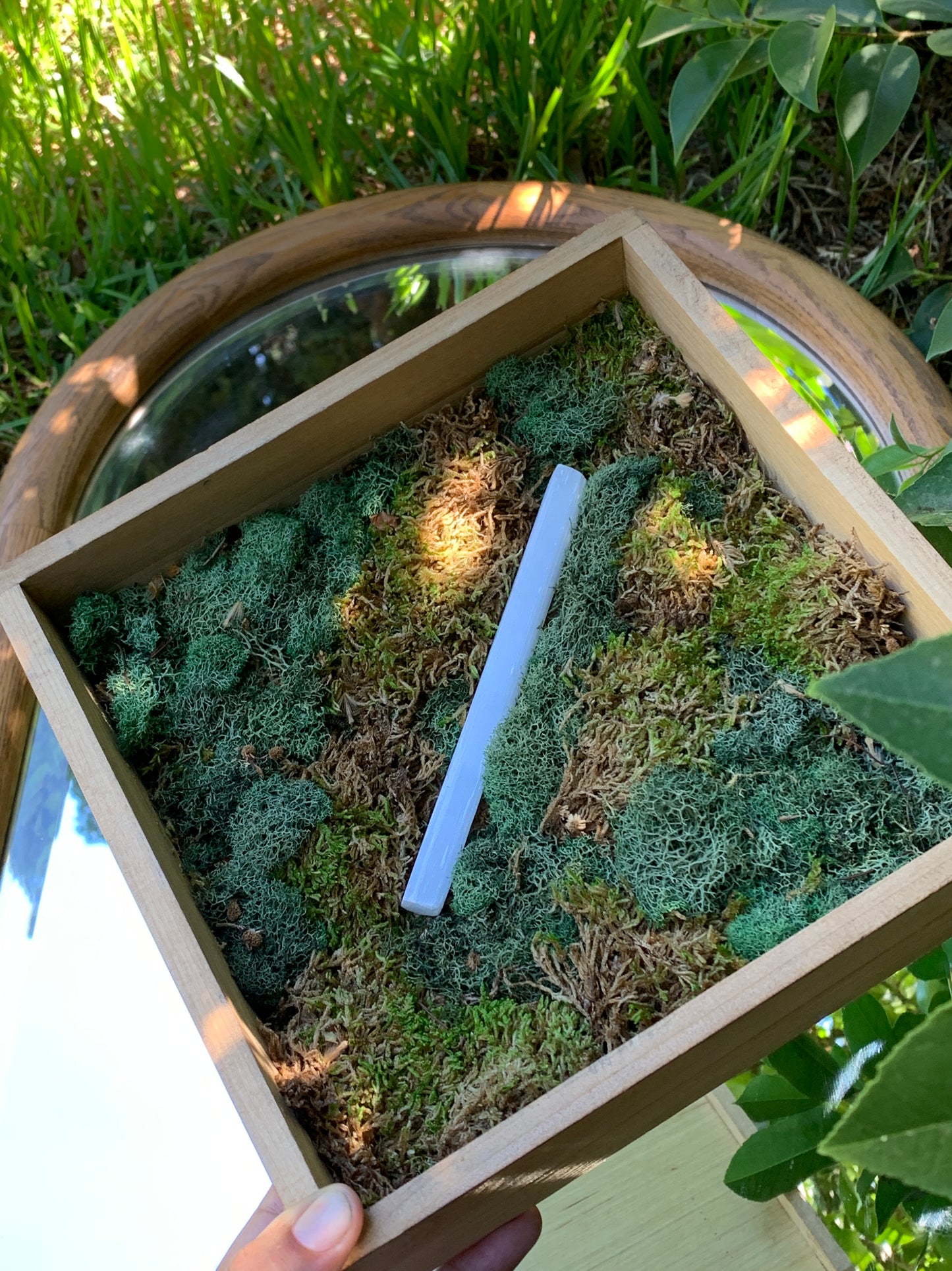 Crystal Charging Garden With Moss to Decorate Your Space