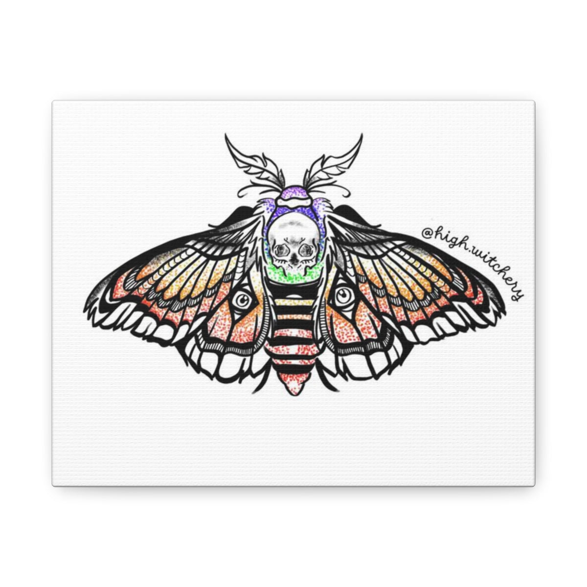 Death Moth Canvas Gallery Wraps