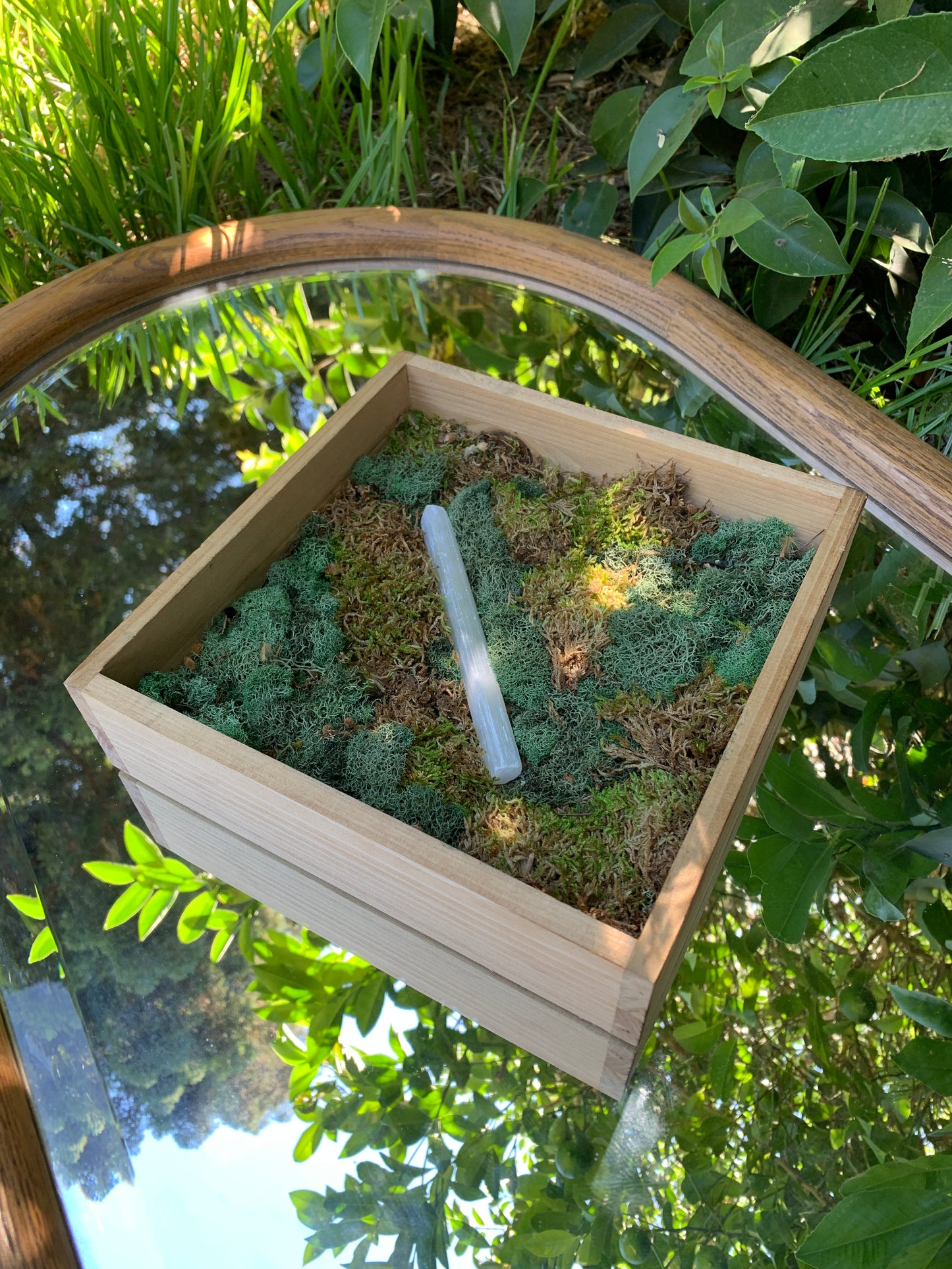 Crystal Charging Garden With Moss to Decorate Your Space